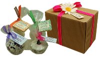 Handmade Goats Milk Soap and Skincare Gifts