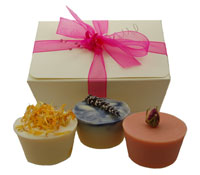 Handmade Goats Milk Soap and Skincare Gifts